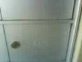 videos de Meet my pet kitty...