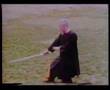 鄭子太極劍演示，鄭曼青 Cheng Man Ching