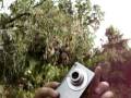 videos de Nature Doccumentary
