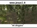 VITA, DOV\