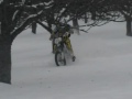 Zero_im_Schnee.mp4