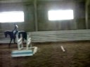 training.dressage