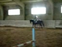 training.dressage