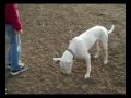 fmar_casper_mp4.mp4