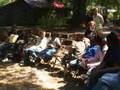 Holly Springs Hummingbird migration festival