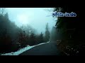 HD Video 1280 +720 - Street View in der Pfalz - Fahrt zum Forsthaus Annweiler