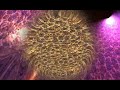 Great progressive house track, found @ Renaissance Sequential vol.2 presents Hernan Cattaneo