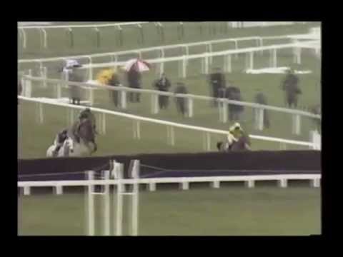 cheltenham gold cup
