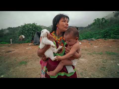 Jorge Luis Mora Rocha