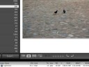 adobe lightroom 2 adobe lightroom 2