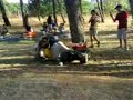 Hadar, Gal S., Gal G. VS The Tree