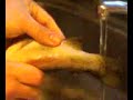 Simon the Fish Monger Encounters Fish Pee