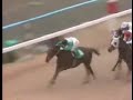 1988 ???????????  SPORTS NIPON  GOLD CUP