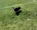 Video from My Phone (0316081246.3g2)