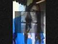 videos de Prinze Cant Rhyme