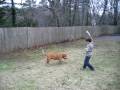 videos de MVI 0621