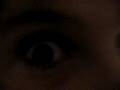 videos de Dee n Courto