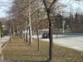 4 Kreciolek Tarnowski 2006
