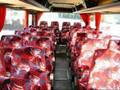 maggibus r81
