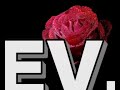 Dj Ates CGS - Tek Dilegim Var SEV SEV SEV SEV
