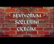 Dj Ates CGS - Tek Dilegim Var SEV SEV SEV SEV