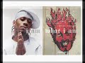 Allen Iverson mix with 2pac-pain by high octane