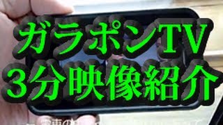 【テレビ番組をいつでもどこでもスマホでも見れる!?】ガラポンTVが描くテレビ視聴の未来とは