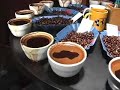 How to do a coffee cupping chapter 3