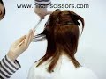 Hikari DryCutting Demonstration - Long Hair (Part One) Hikari DryCutting Demonstration - Long Hair (Part One)