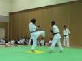 videos de Kenpo Kai - Shizuoka 2008