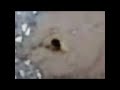 الناس اليوم..سيول جدة لم يوقفها شيئ
