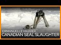 Canadian Seal Slaughter (PETA Ad)