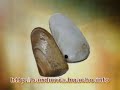 Documental Bandurria - Segunda Parte