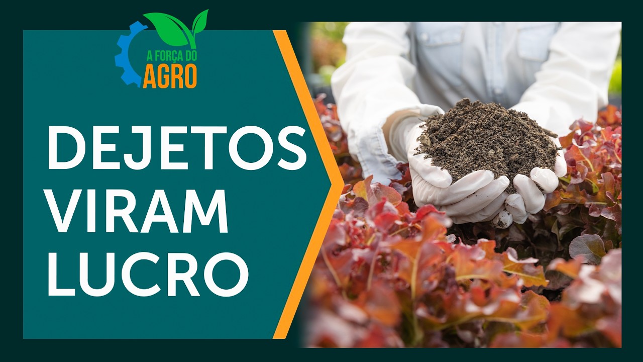O segredo da Estruvita: Dejetos que viram fertilizante no agro  |  AFA, com Joice Maffezzolli