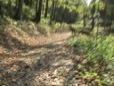 part 1 Walking Trail at Vista at Bill\ part 1 Walking Trail at Vista at Bill\