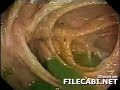 makan babi makan babi
