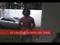 parilla la fundacion 3 parte retorno de los golosos parilla la fundacion 3 parte retorno de los golosos