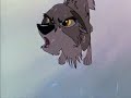 ~balto~crazy ~balto~crazy