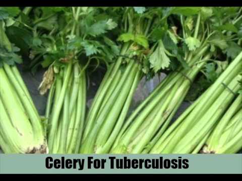 how to treat tuberculosis