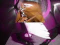 toy-horse-jumpingfirst-breyer-video-ever-made.html