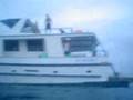 Salto-em-Abrolhos