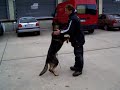Chrasos Obedience