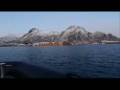 orkas-klein.WMV