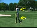 vijay singh