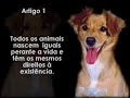 Declaração dos Direitos dos Animais by Lionel Falcon