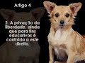Declaração dos Direitos dos Animais by Lionel Falcon