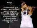 Declara��o dos Direitos dos Animais