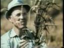 The Story of the World Food Prize The Story of the World Food Prize