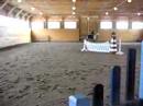 Dustbunny Fences Training 2