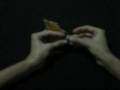 Tutorial Origami - Raton